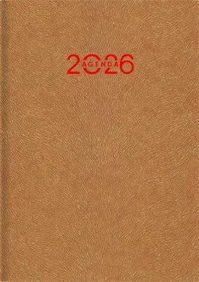 Dayliner COR_NANA5HGAU nagyítás