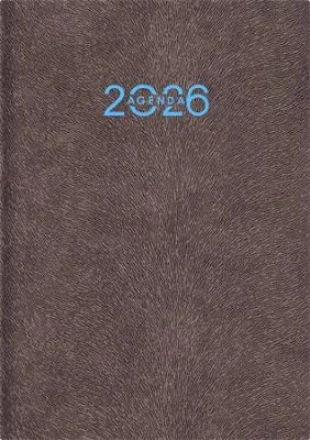 Dayliner COR_NANA5HGU nagyítás