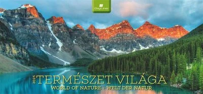 Dayliner COR_NAS420125 nagyítás