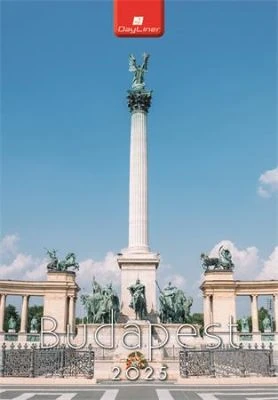 Dayliner COR_NFABPB425 nagyítás