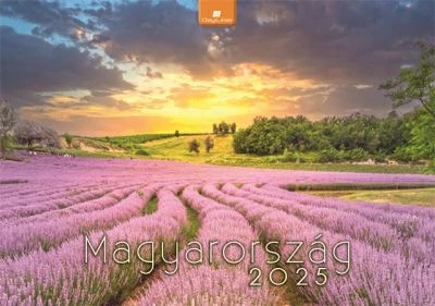 Dayliner COR_NFAK20225 nagyítás