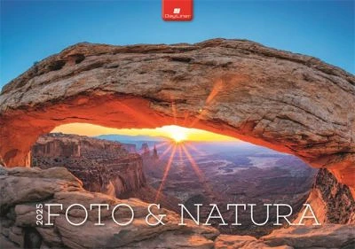 Dayliner COR_NFAK22125 nagyítás