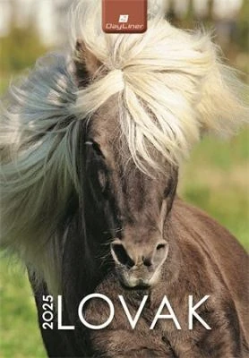 Dayliner COR_NFALOB425 nagyítás