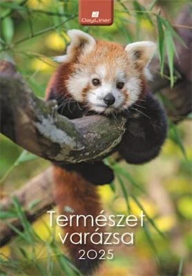 Dayliner COR_NFATVB425 nagyítás