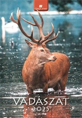 Dayliner COR_NFAVAB425 nagyítás