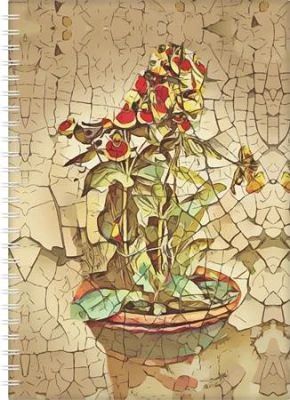 Dayliner COR_NSA5HB25 nagyítás