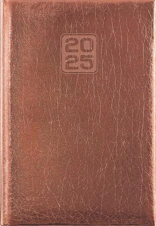 Dayliner DL5AG-MRFB6HE-BR nagyítás