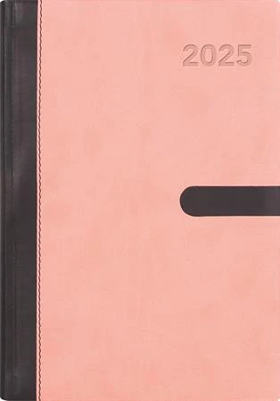 Dayliner DL5AG-WIFA5NA-PN nagyítás