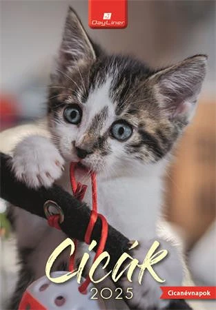 Dayliner DL5FA-CIB4 nagyítás