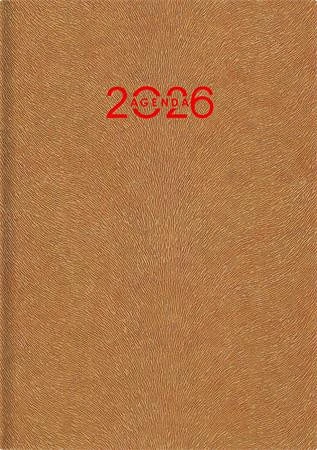 Dayliner DL6AG-ANFA5HE-GA nagyítás