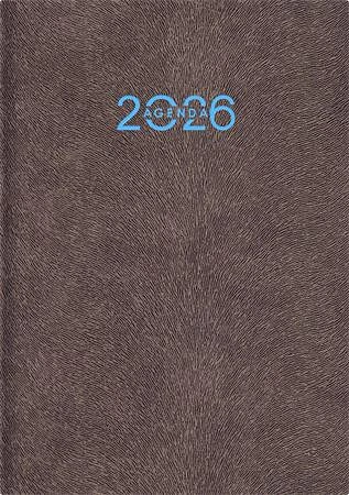 Dayliner DL6AG-ANFA5NA-GR nagyítás