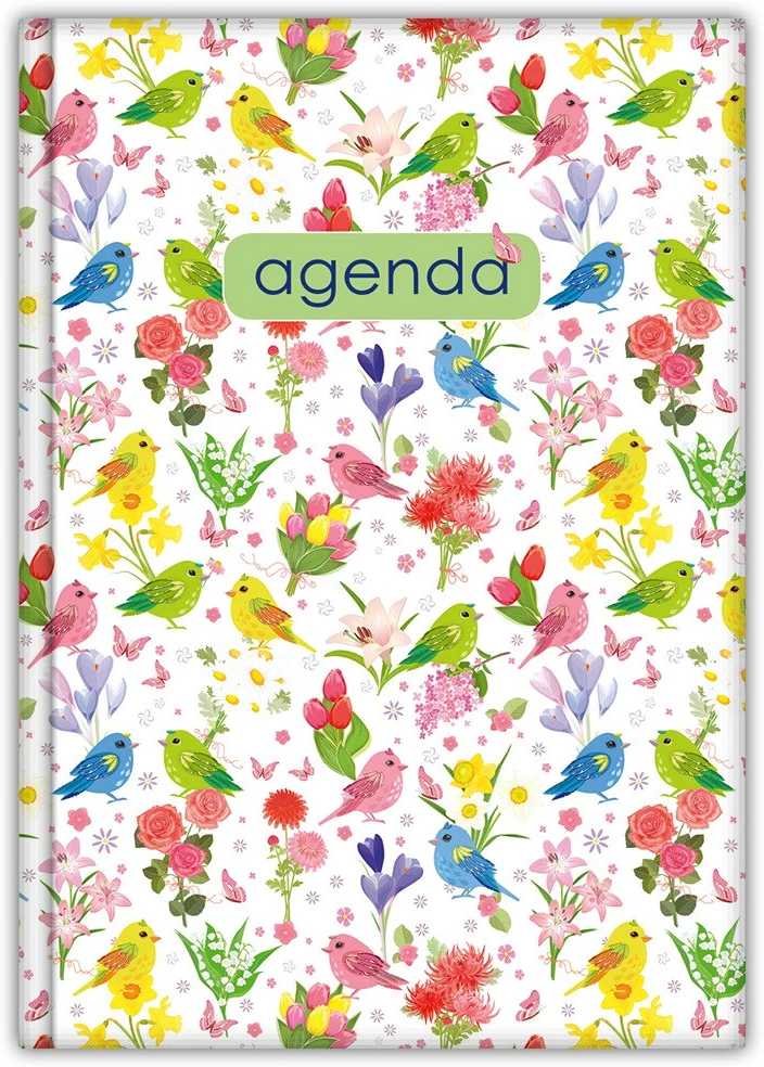 Dayliner DL6AG-COFA5HE-NRZO nagyítás