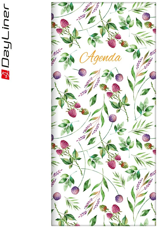 Dayliner DL6AG-COFZSFE-BR nagyítás