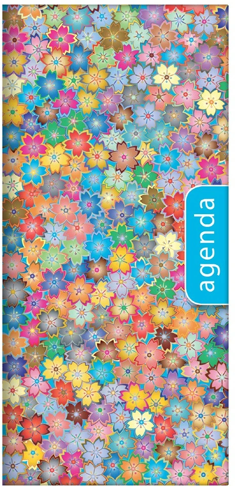 Dayliner DL6AG-COFZSFE-SPKK nagyítás