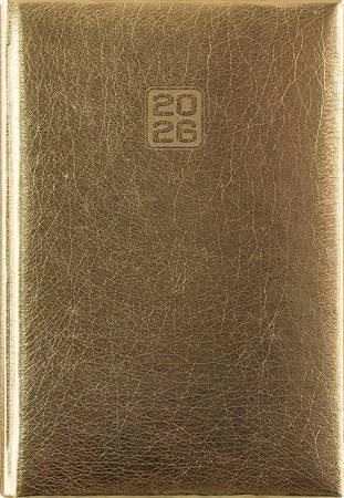 Dayliner DL6AG-MRFB6HE-AR nagyítás