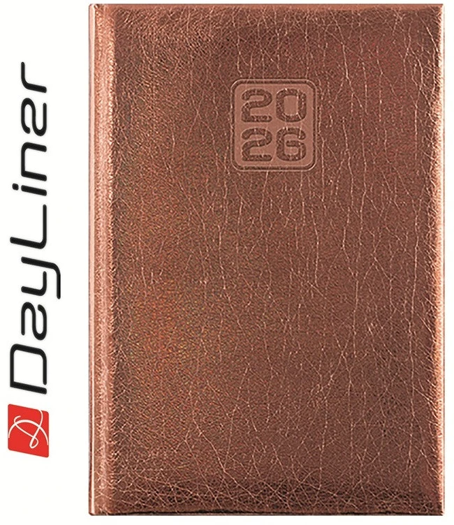 Dayliner DL6AG-MRFB6HE-BR nagyítás