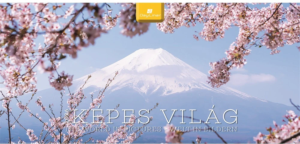 Dayliner DL6AS-KVFFE-HH nagyítás