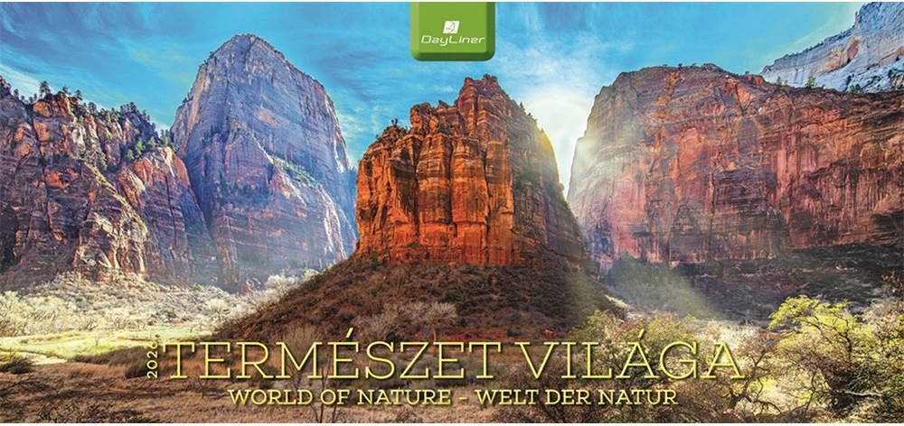 Dayliner DL6AS-TEFFE-HH nagyítás