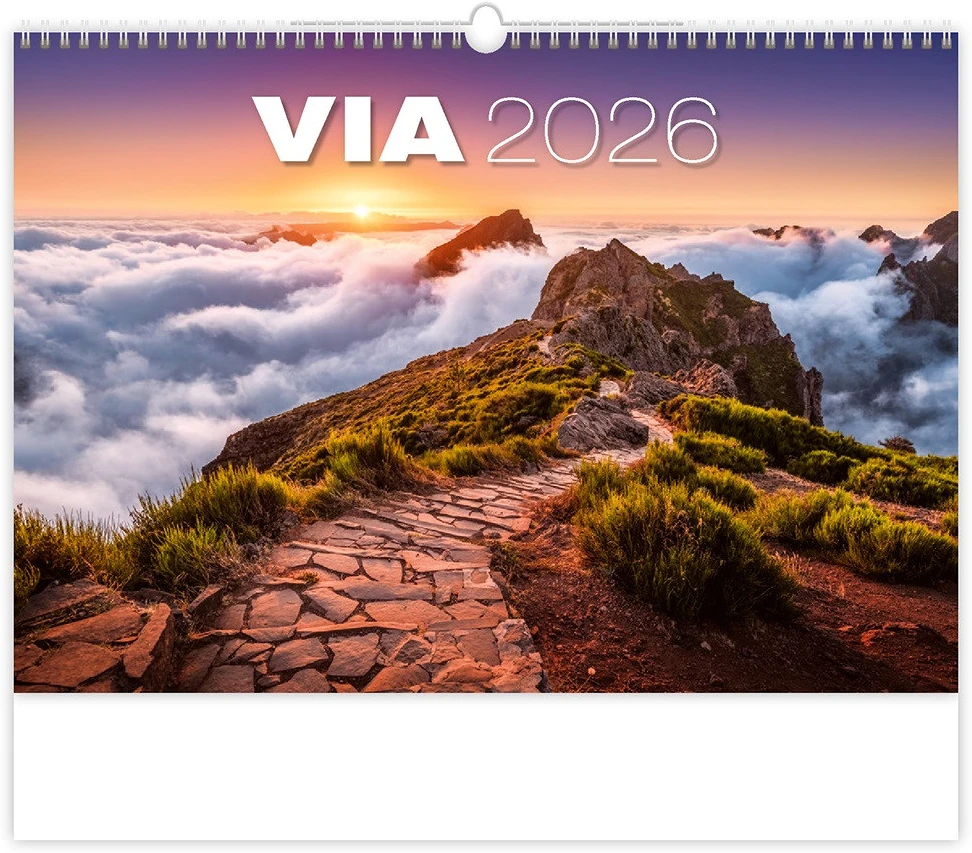 Dayliner DL6FA-H133 nagyítás