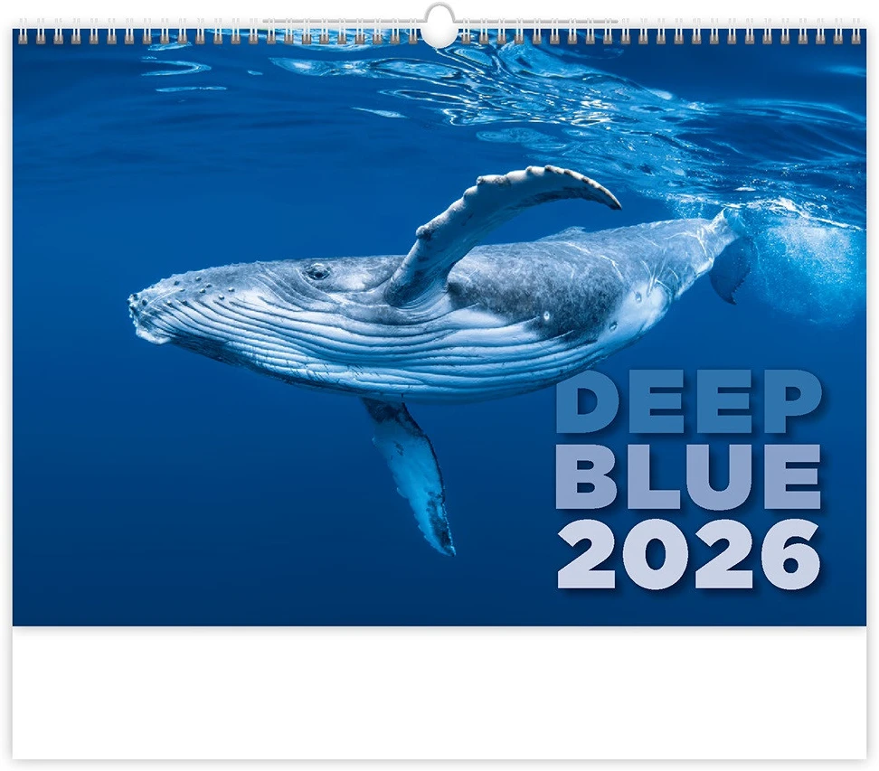 Dayliner DL6FA-H136 nagyítás