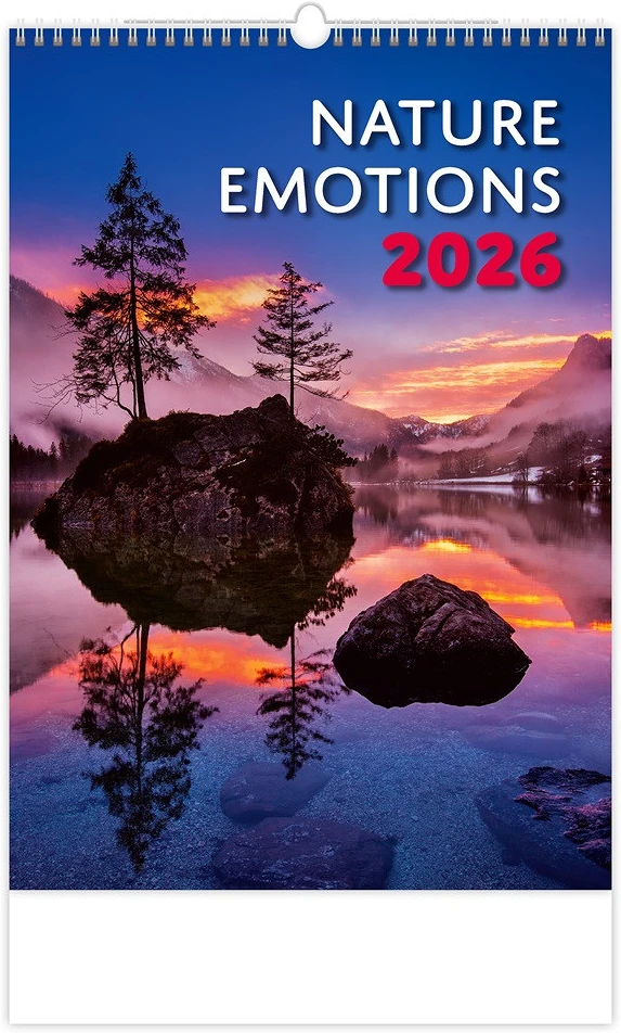 Dayliner DL6FA-H140 nagyítás