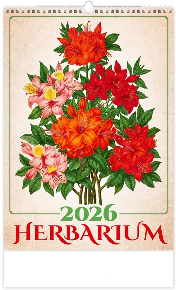 Dayliner DL6FA-H144 nagyítás