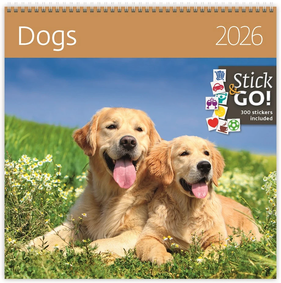 Dayliner DL6FA-HLP02 nagyítás