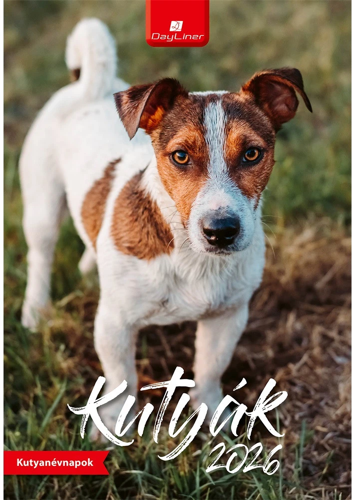 Dayliner DL6FA-KUB4 nagyítás