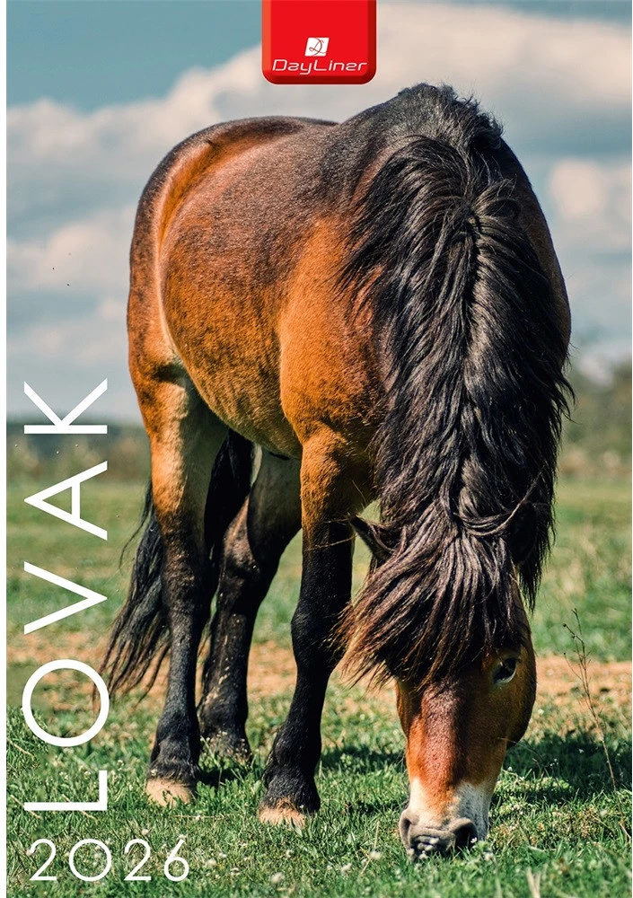 Dayliner DL6FA-LOB4 nagyítás