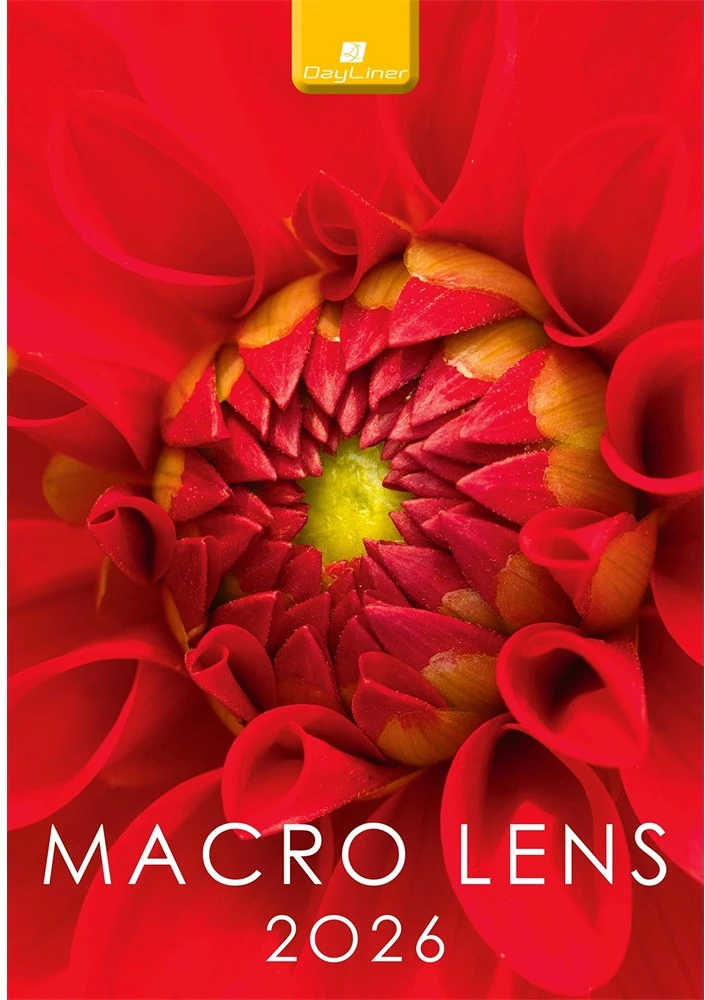 Dayliner DL6FA-MLB4 nagyítás