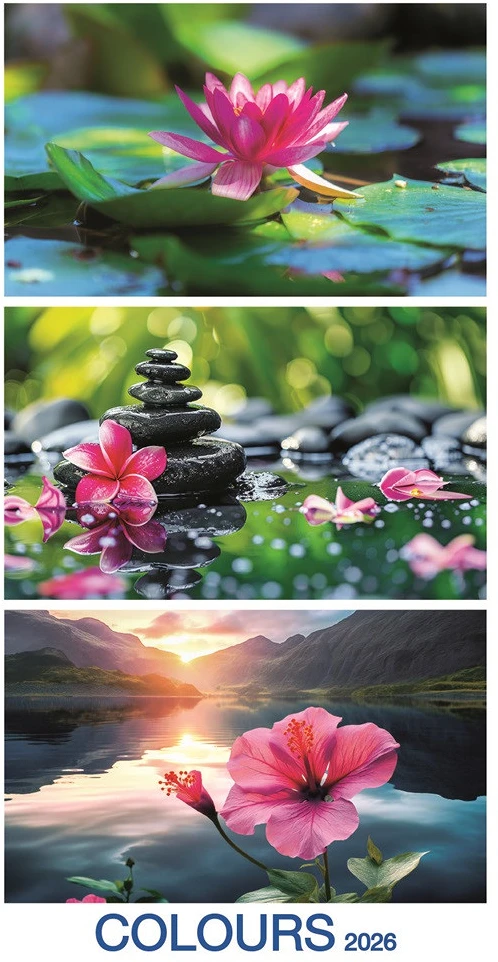 Dayliner DL6FA-S18 nagyítás