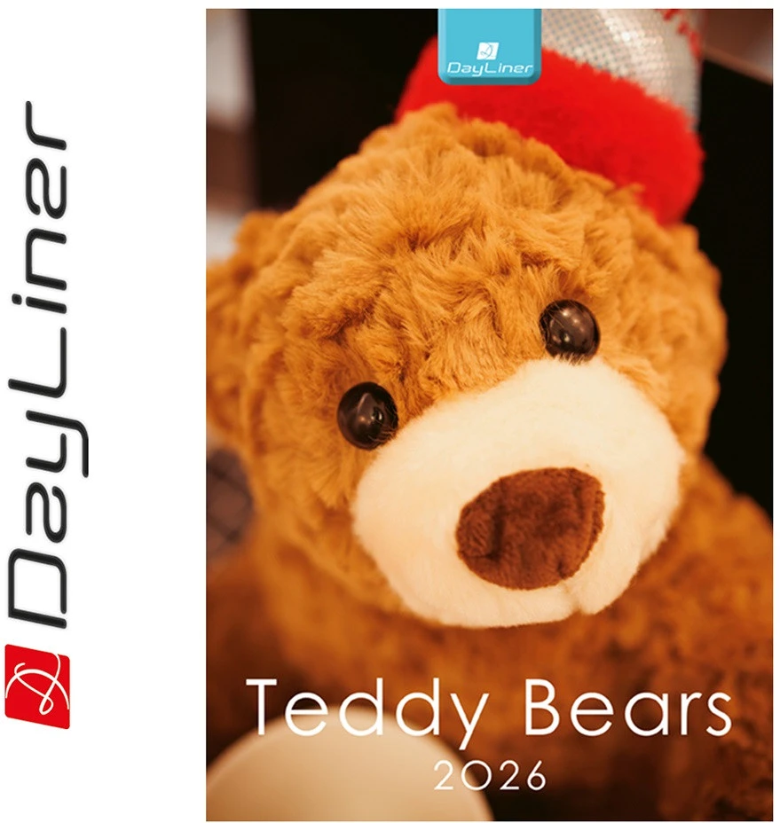 Dayliner DL6FA-TEB4 nagyítás