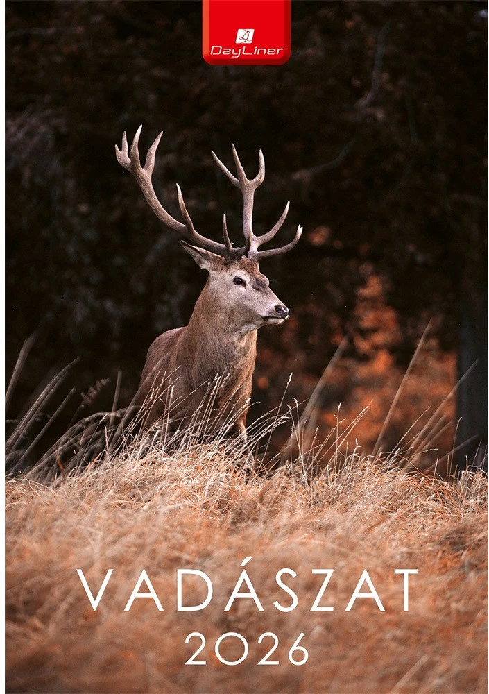 Dayliner DL6FA-VAB4 nagyítás