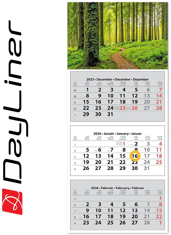 Dayliner DL6SP-30H3-ER nagyítás