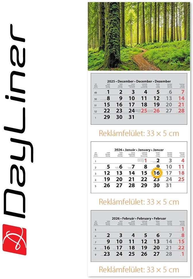 Dayliner DL6SP-3H3-ER nagyítás