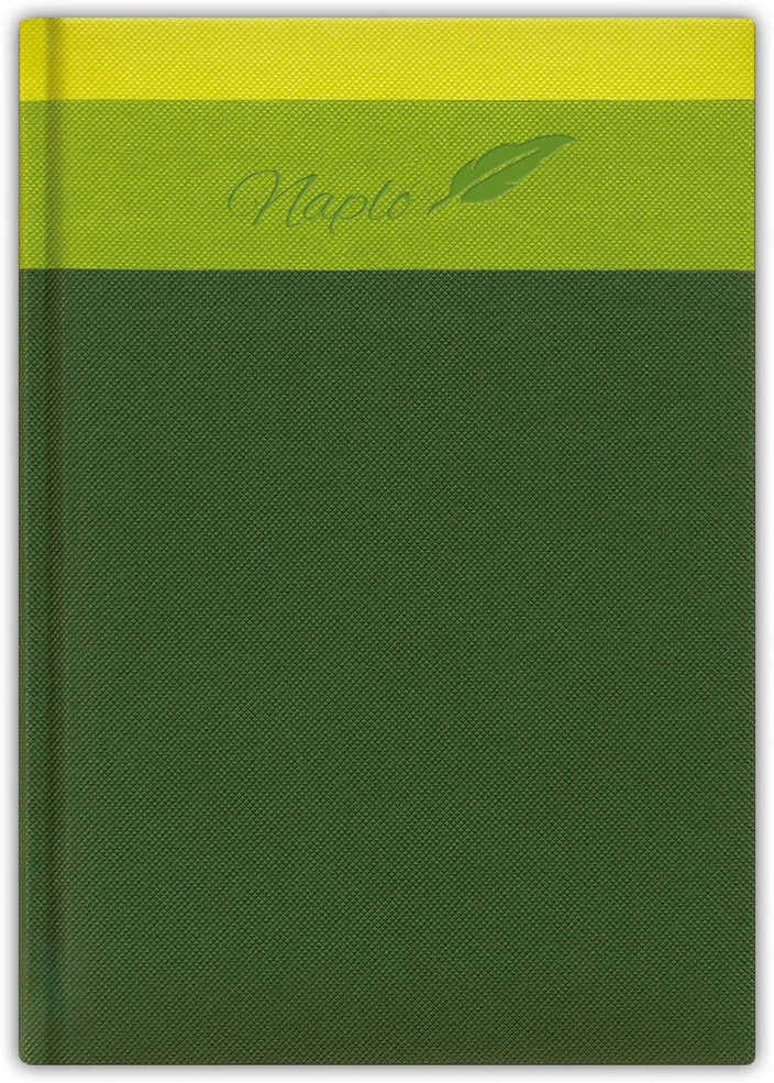 Dayliner DLDTN-TIFA5TN-ZO nagyítás