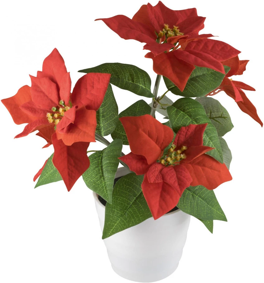 Dekorációs termékek SCF 5 nagyítás