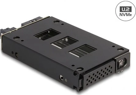 Delock 2.5 U.2 nagyítás