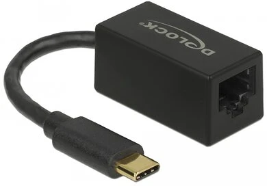 Delock LAN 10/100/1000 nagyítás