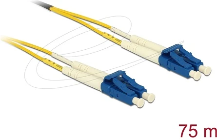 Delock OS2 75 M nagyítás