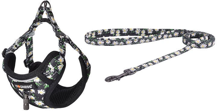 Dogness DOG SET DAISY nagyítás