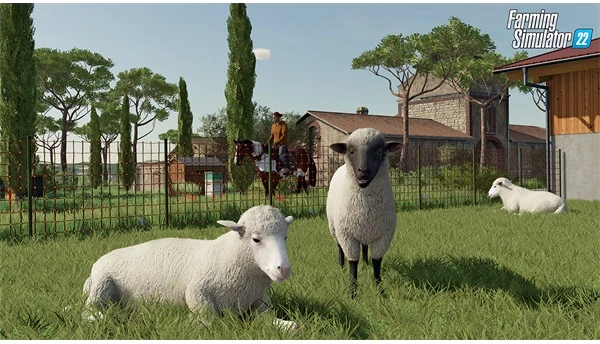 Egyeb belfoldi 2808036 nagyítás