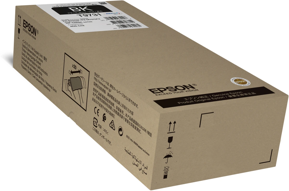 Epson - non eis T9731 nagyítás