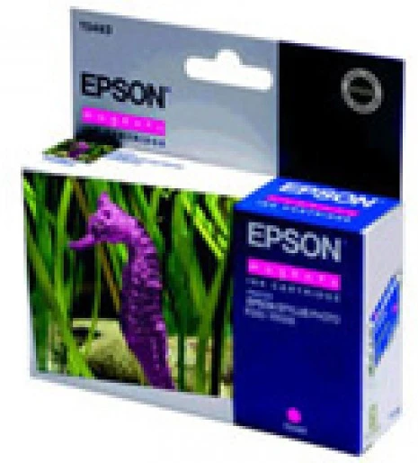 Epson T0483 nagyítás