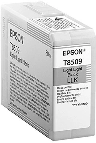 Epson T850900 nagyítás