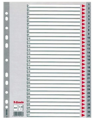 Esselte A4, 1-31 nagyítás