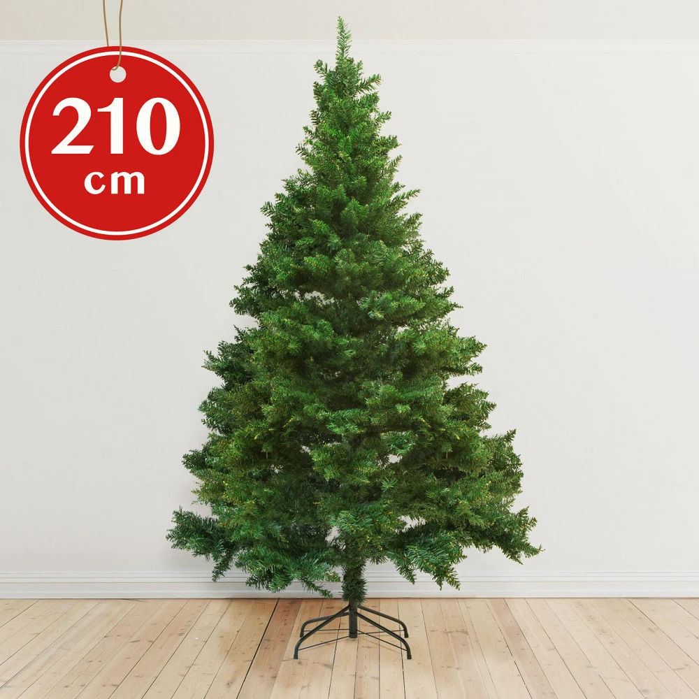 Family 55893C nagyítás