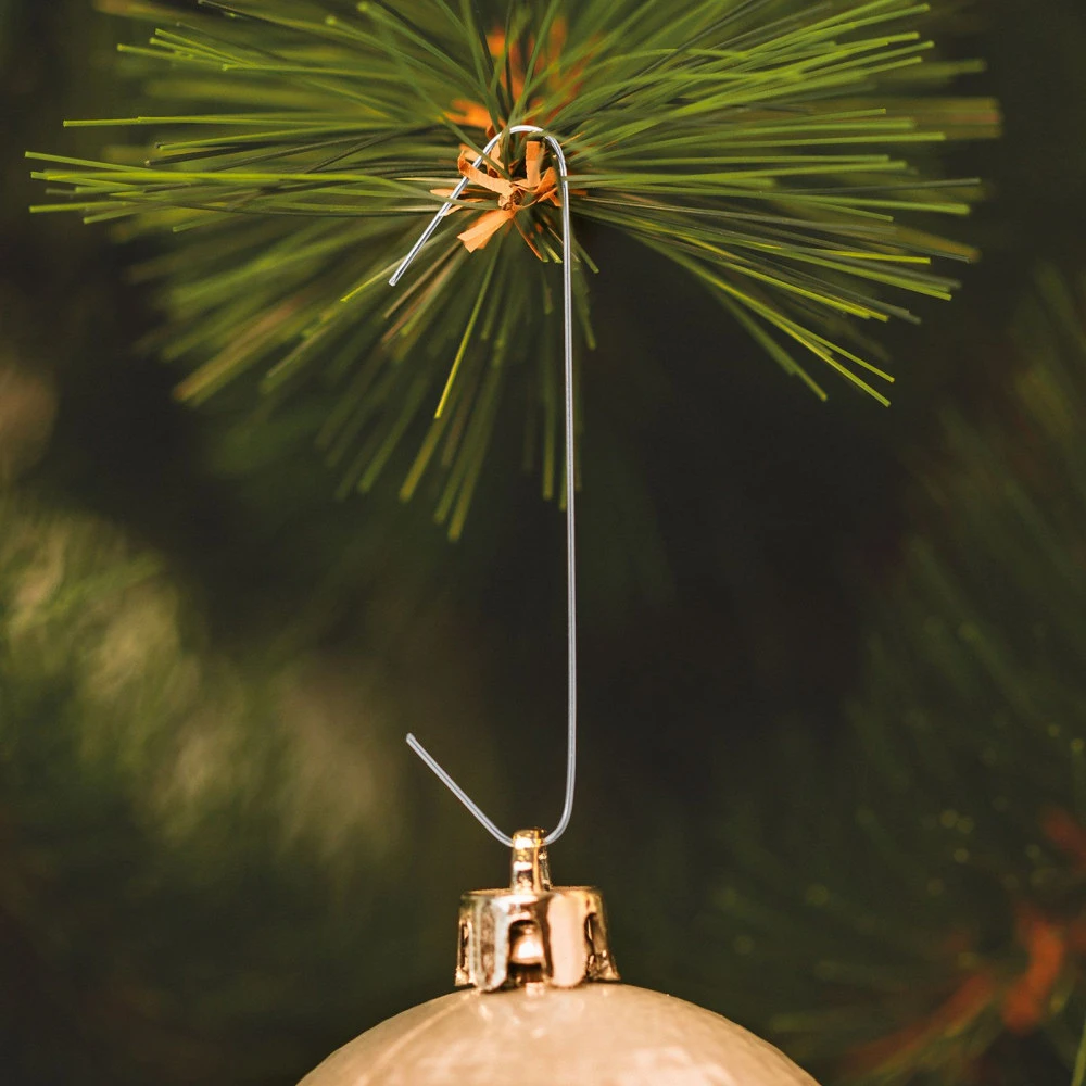 Family 58059C nagyítás