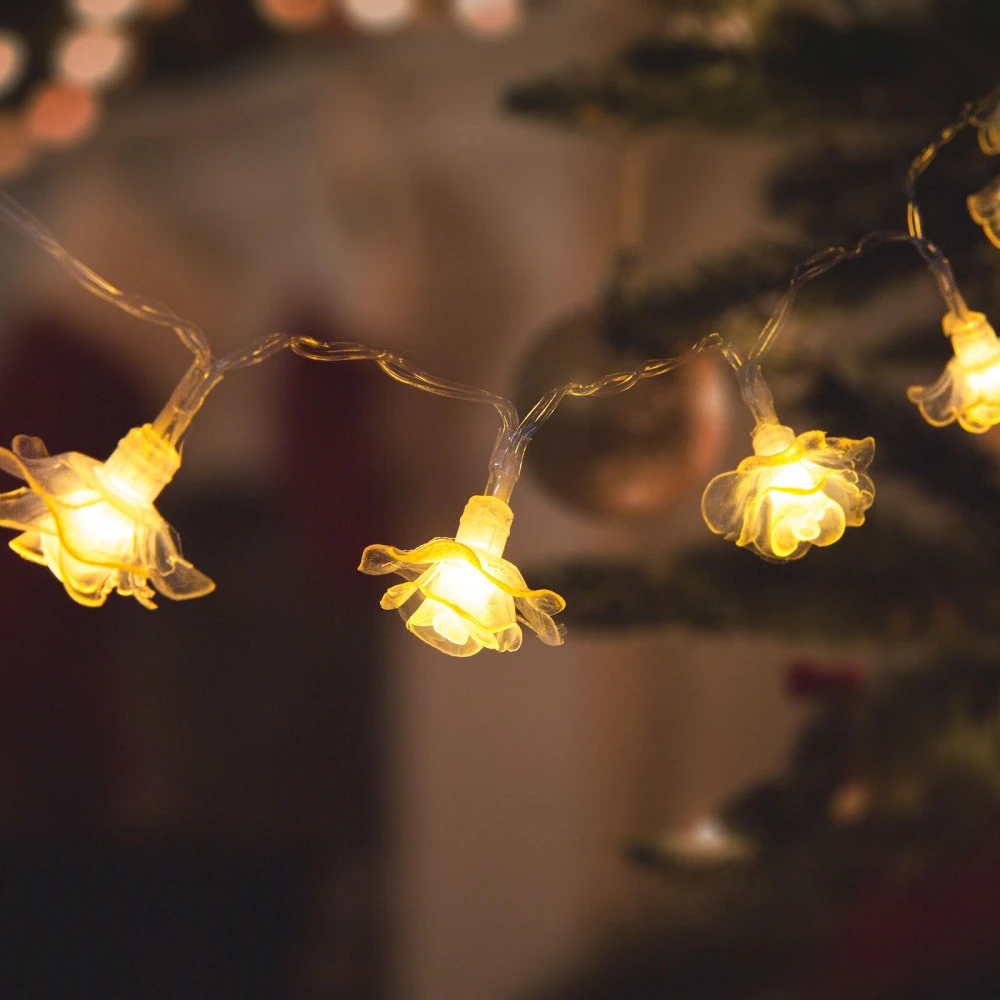 Family 58218A nagyítás