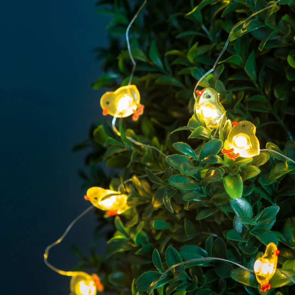 Family 58923A nagyítás